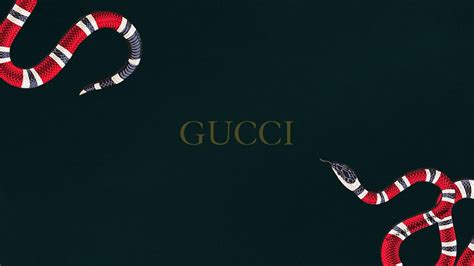 gucci snake wallpaper 4k.